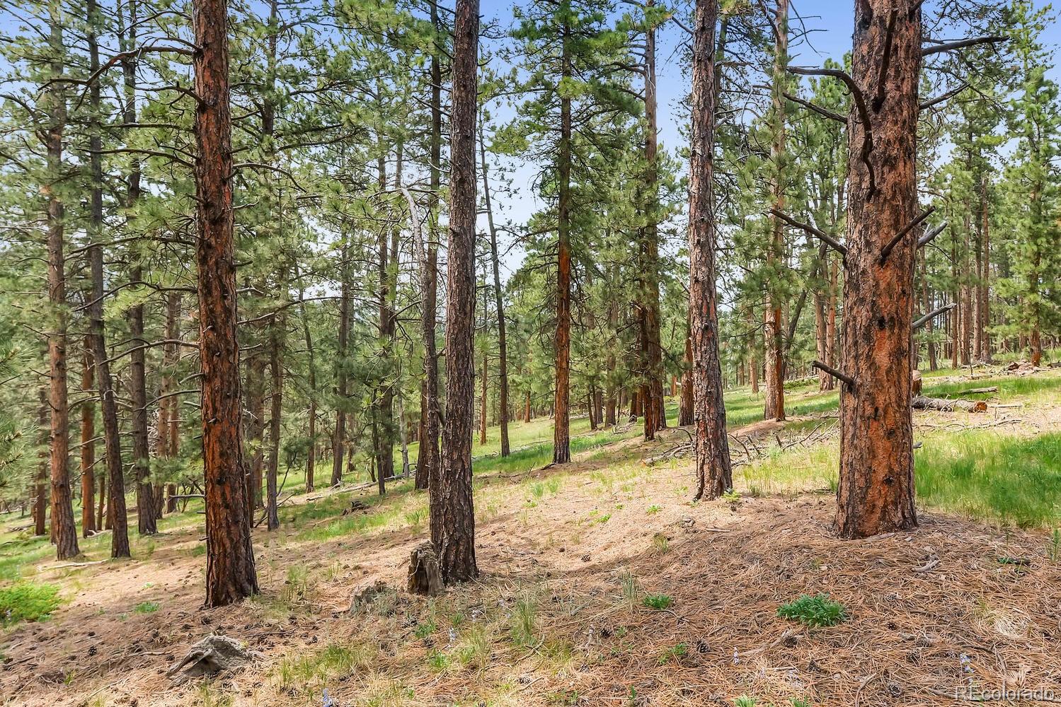 10250 Highway 73 Conifer CO 80433