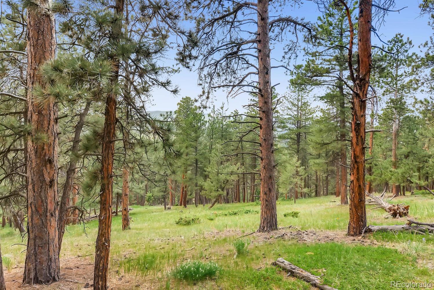 10250 Highway 73 Conifer CO 80433
