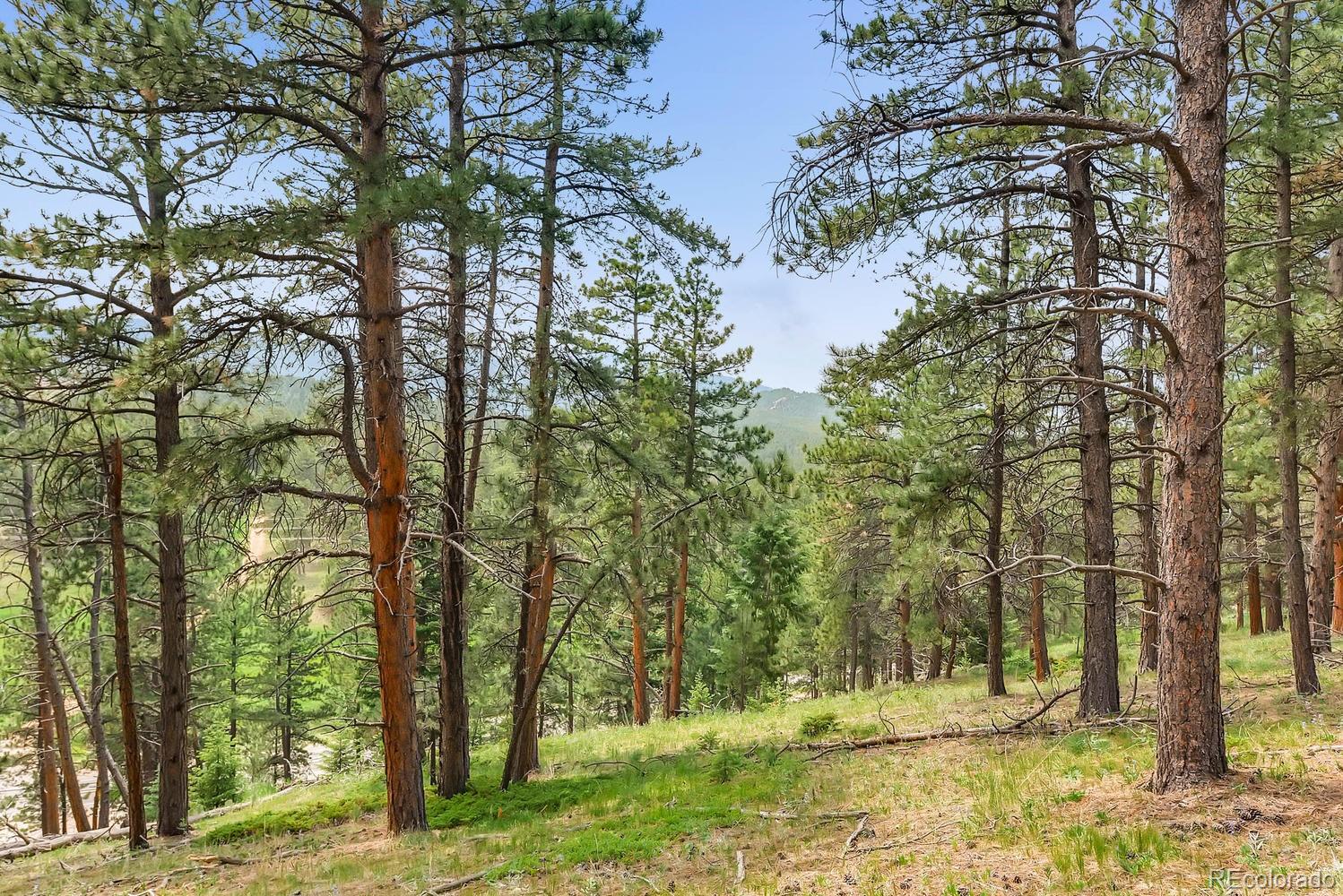 10250 Highway 73 Conifer CO 80433