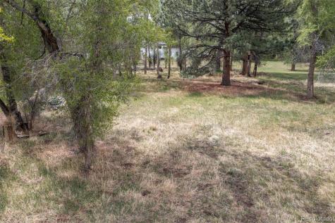 N Sangre De Cristo Avenue Buena Vista CO 81211
