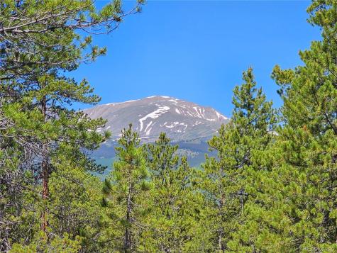 445 Mt Massive Drive Twin Lakes CO 81251