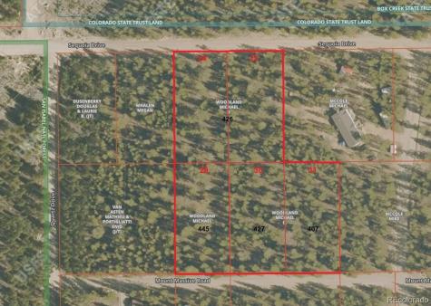 445 Mt Massive Drive Twin Lakes CO 81251