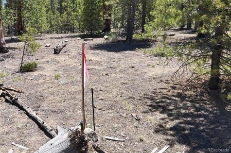 445 Mt Massive Drive Twin Lakes CO 81251