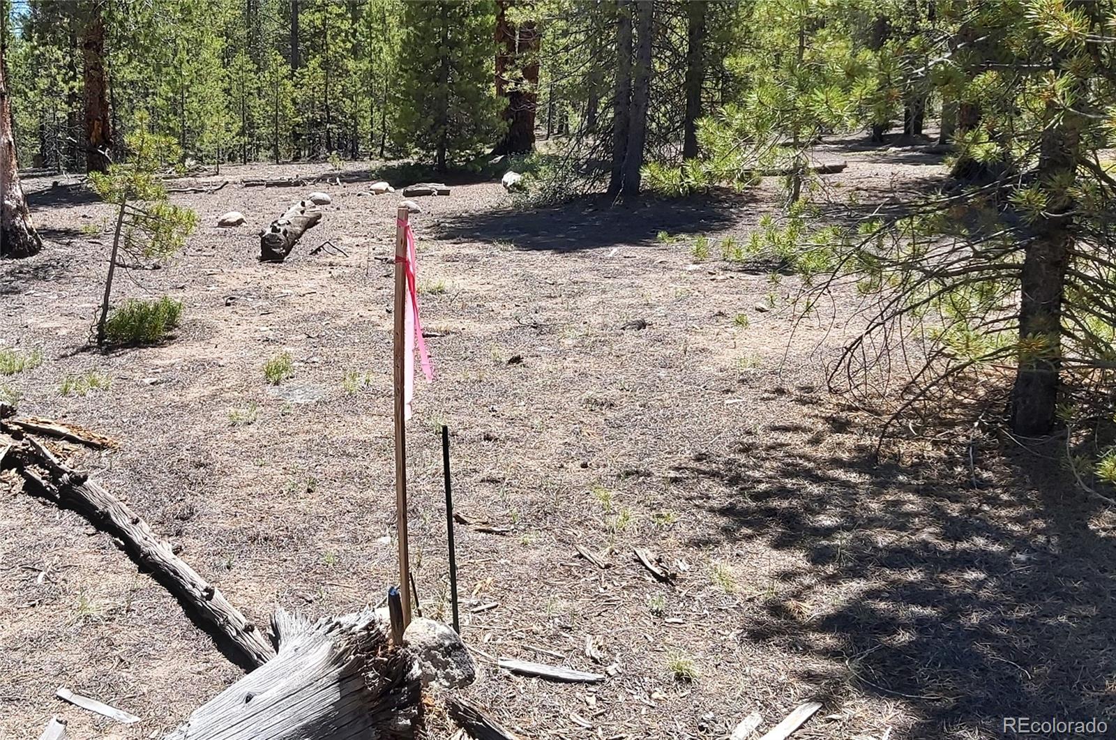 445 Mt Massive Drive Twin Lakes CO 81251