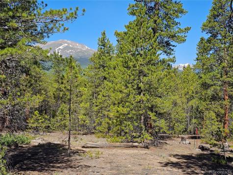 445 Mt Massive Drive Twin Lakes CO 81251