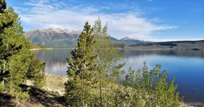 445 Mt Massive Drive Twin Lakes CO 81251