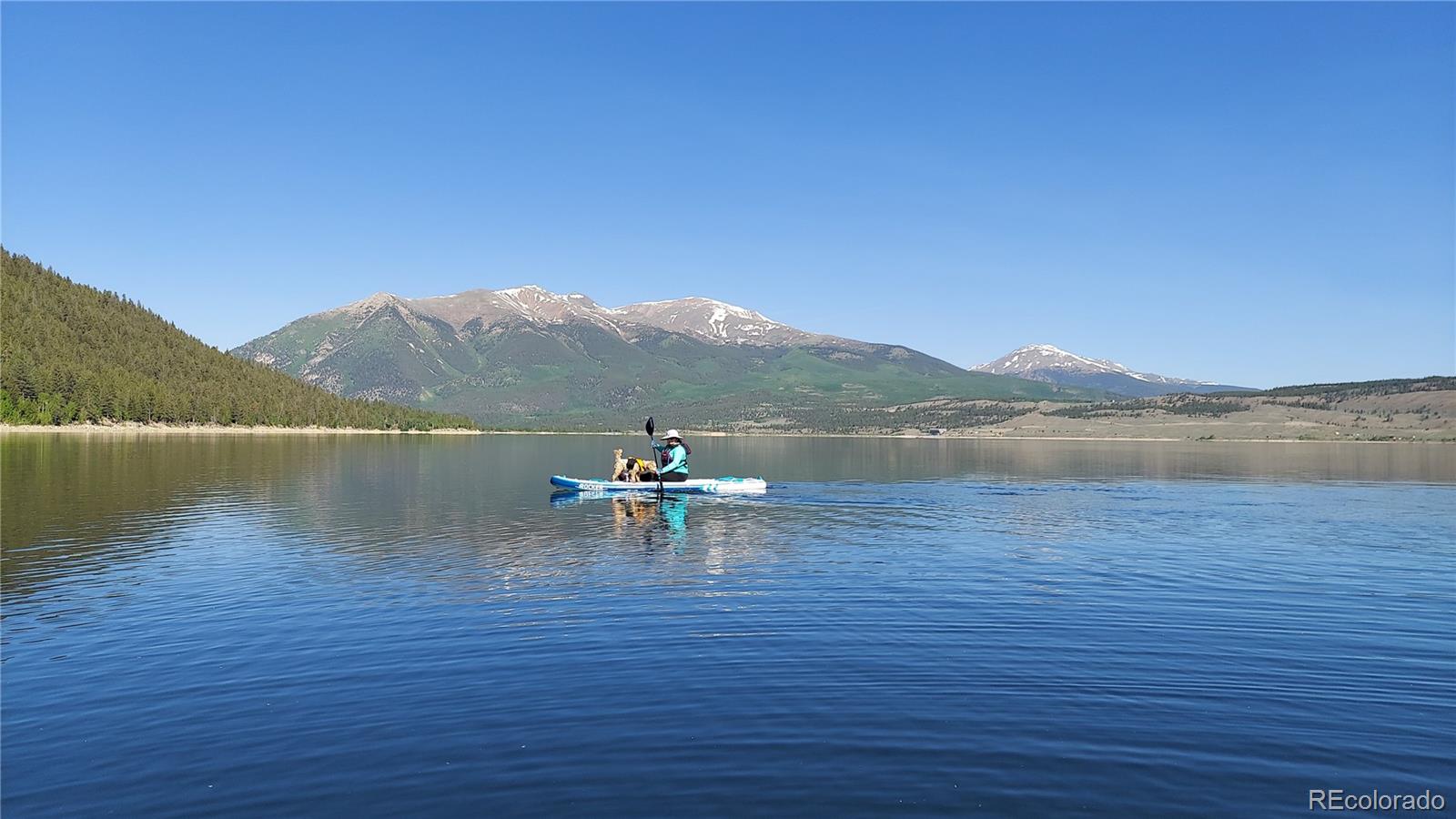 445 Mt Massive Drive Twin Lakes CO 81251