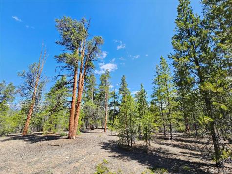 445 Mt Massive Drive Twin Lakes CO 81251