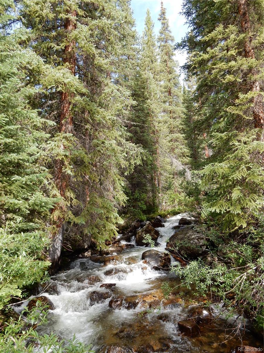 445 Mt Massive Drive Twin Lakes CO 81251