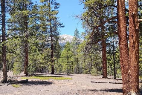 445 Mt Massive Drive Twin Lakes CO 81251