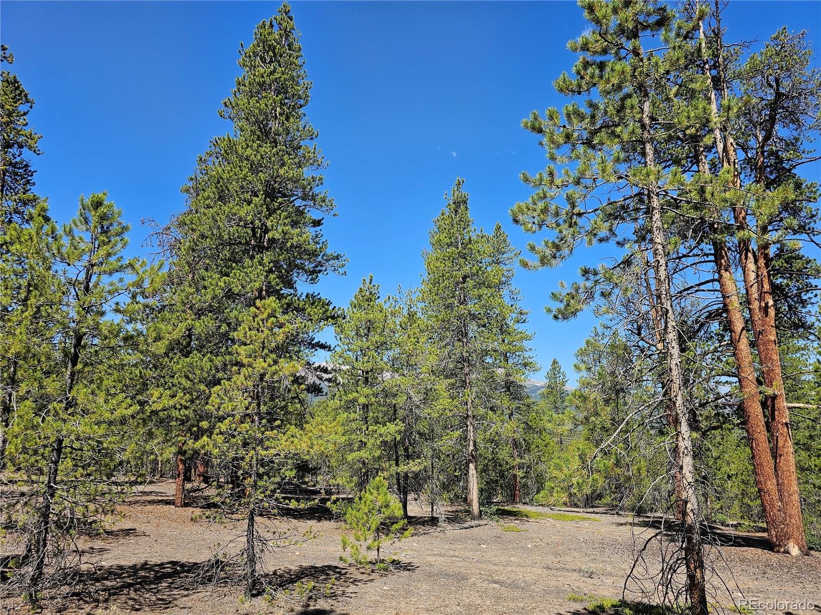 445 Mt Massive Drive Twin Lakes CO 81251