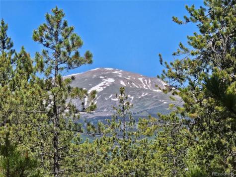 445 Mt Massive Drive Twin Lakes CO 81251