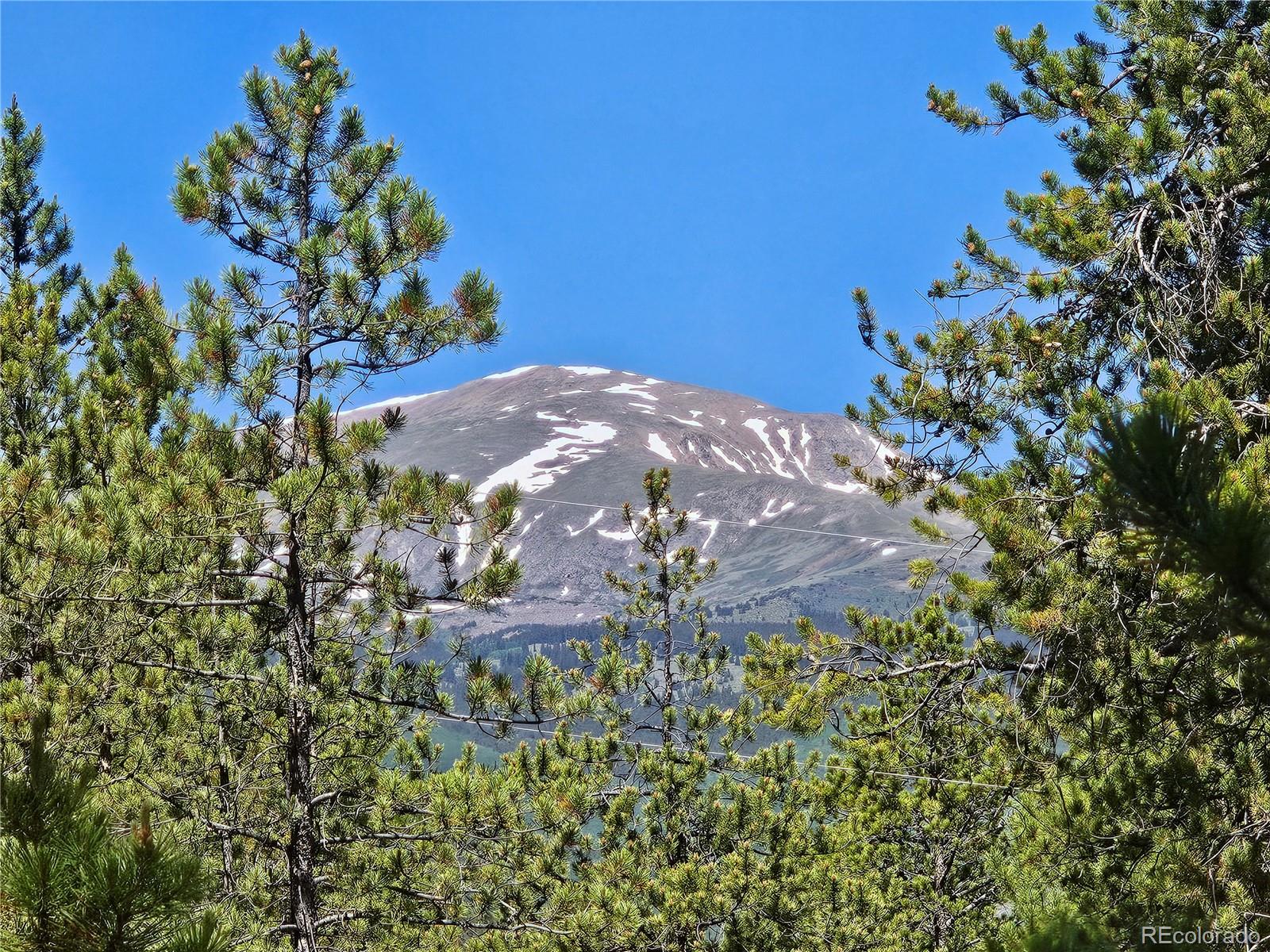 445 Mt Massive Drive Twin Lakes CO 81251