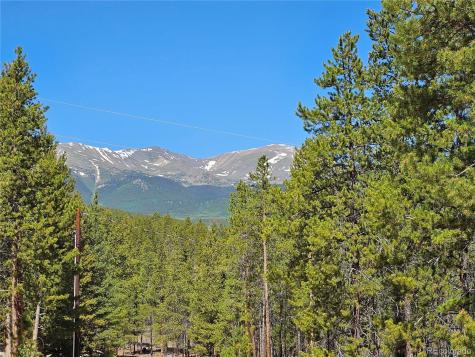 445 Mt Massive Drive Twin Lakes CO 81251