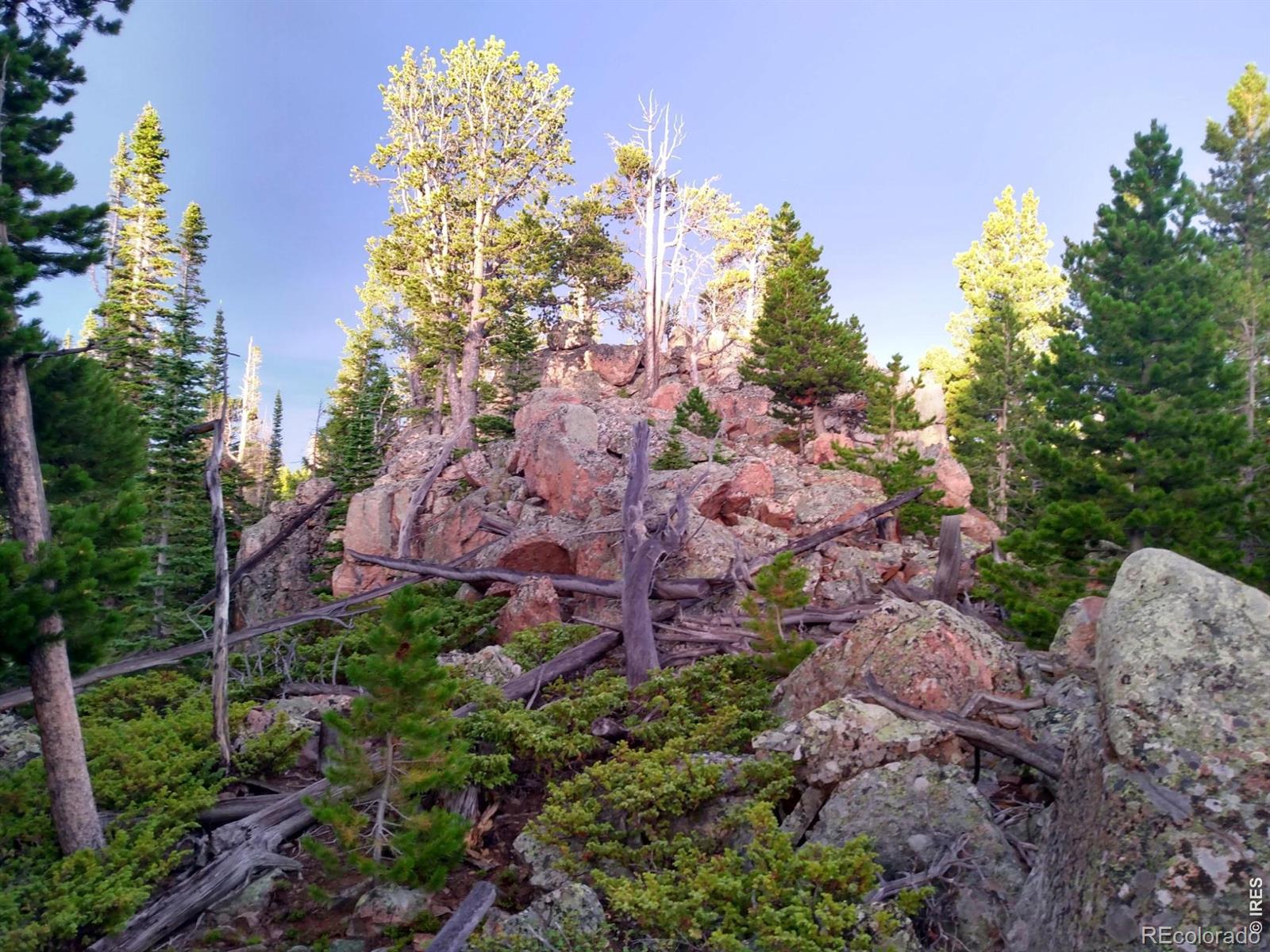 3765 Forest Road 195 Red Feather Lakes CO 80545