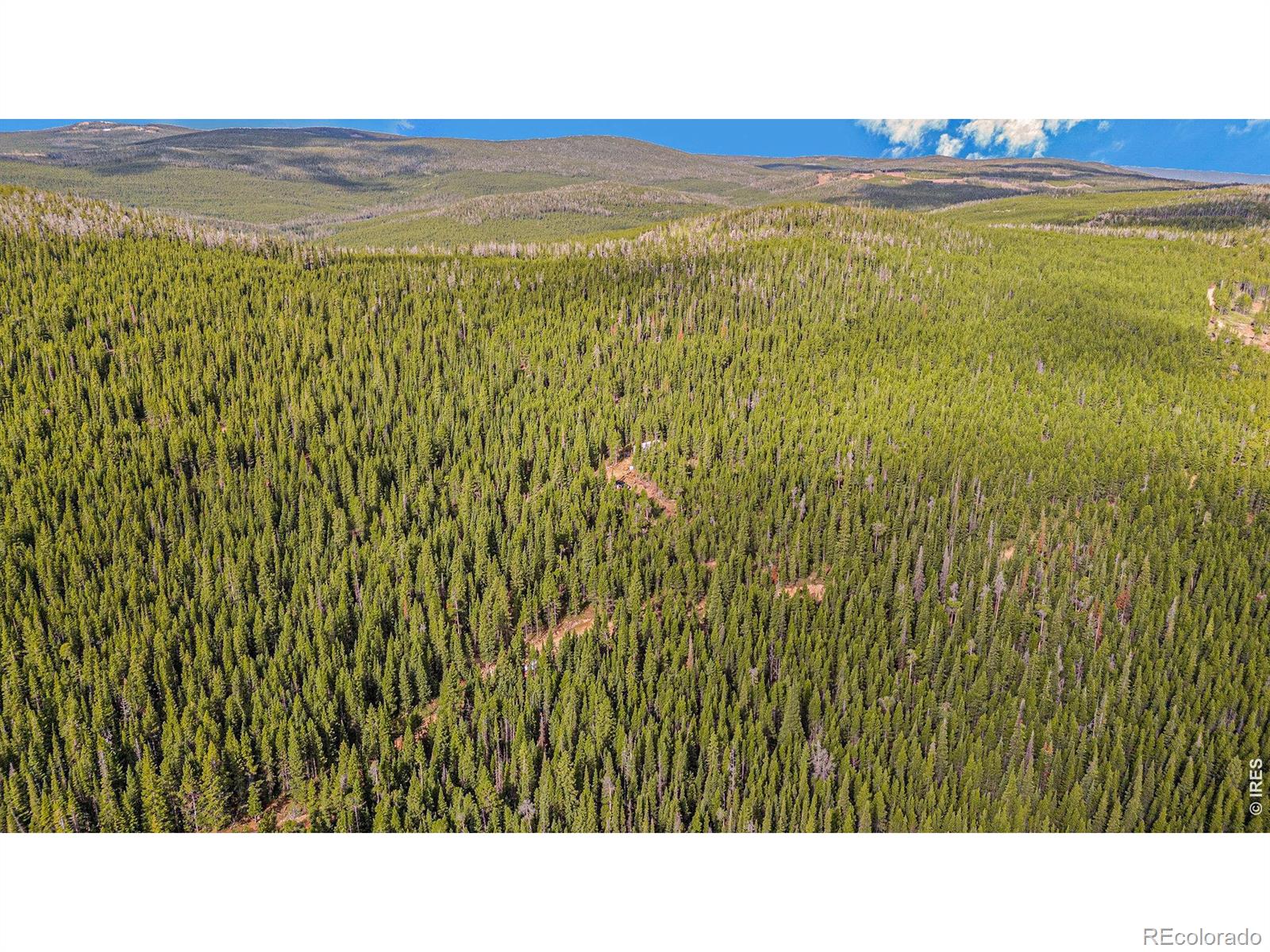 3765 Forest Road 195 Red Feather Lakes CO 80545