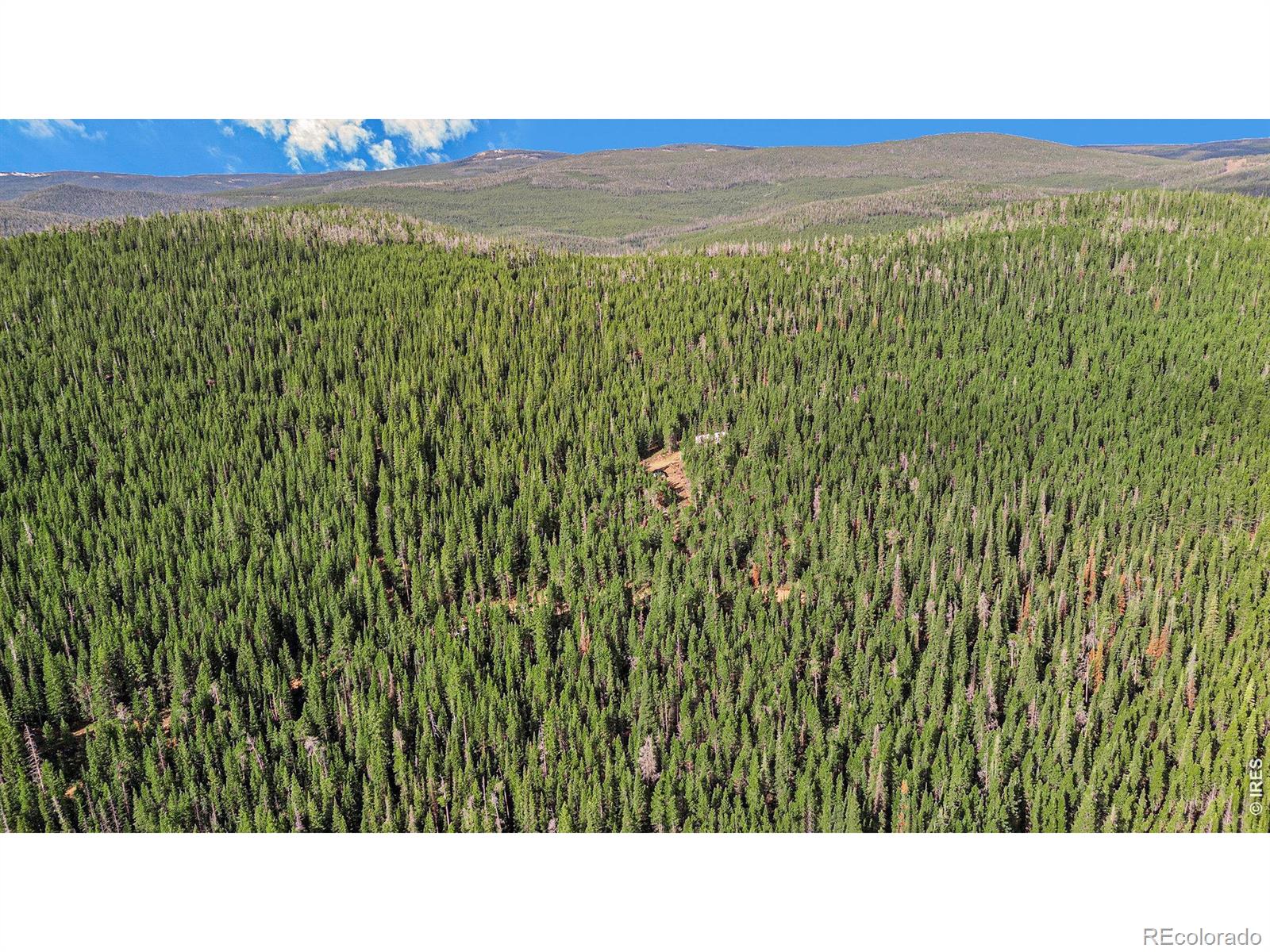 3765 Forest Road 195 Red Feather Lakes CO 80545