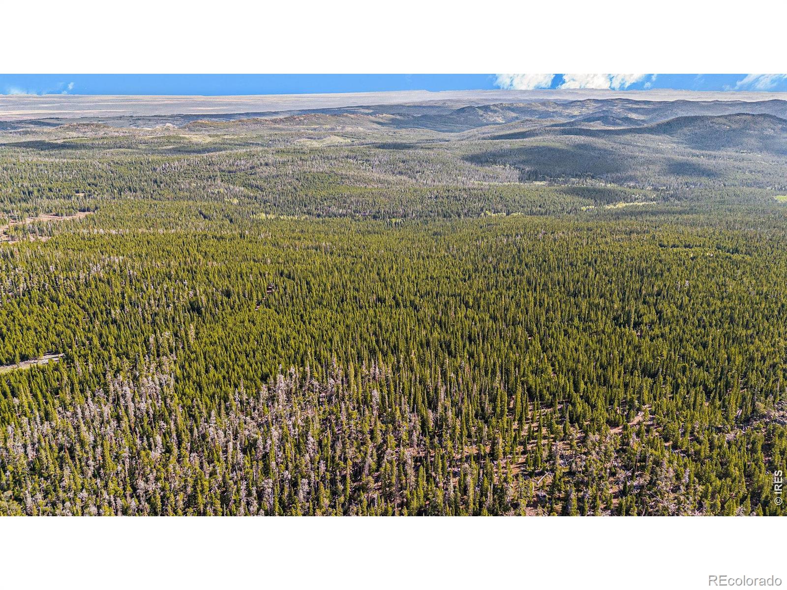 3765 Forest Road 195 Red Feather Lakes CO 80545