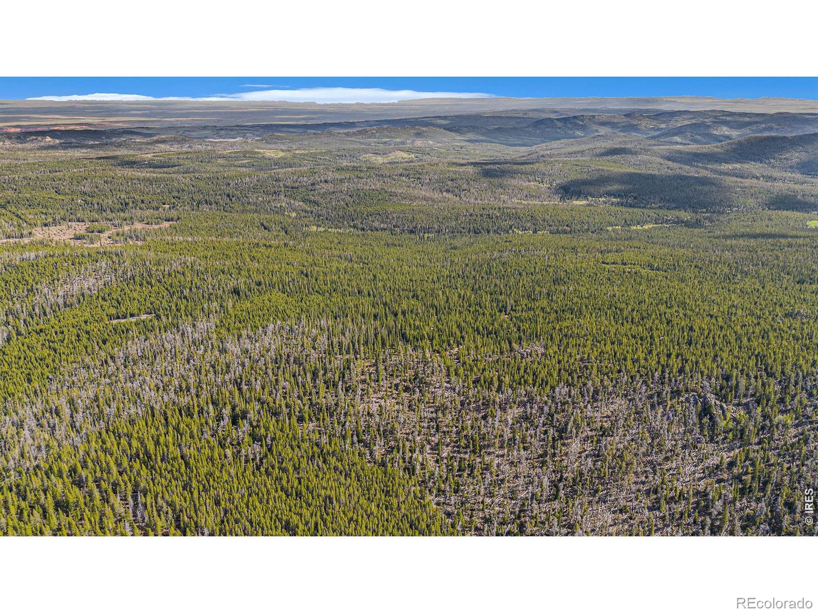 3765 Forest Road 195 Red Feather Lakes CO 80545