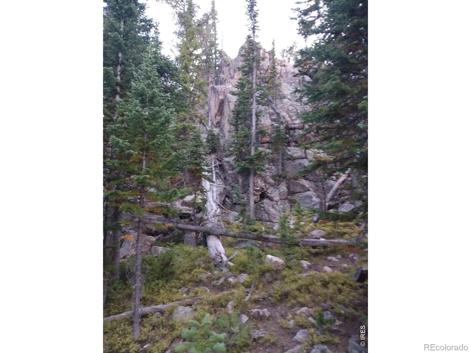 3765 Forest Road 195 Red Feather Lakes CO 80545