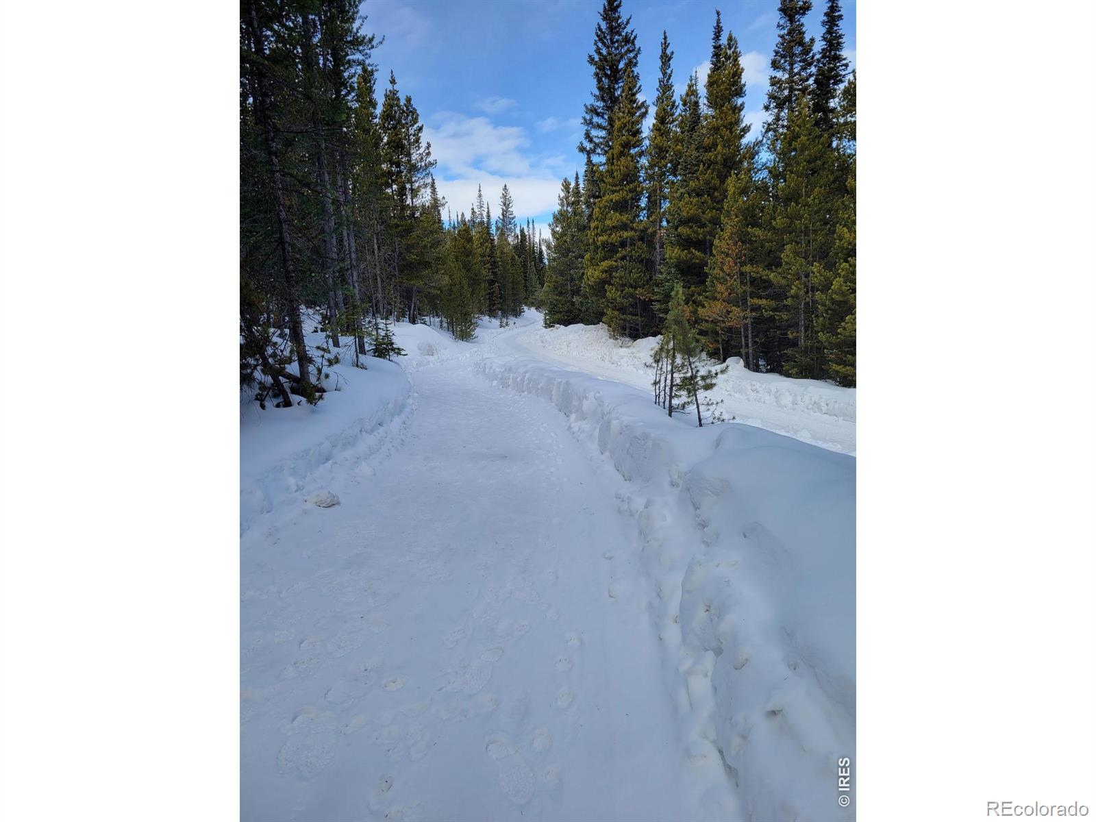 3765 Forest Road 195 Red Feather Lakes CO 80545