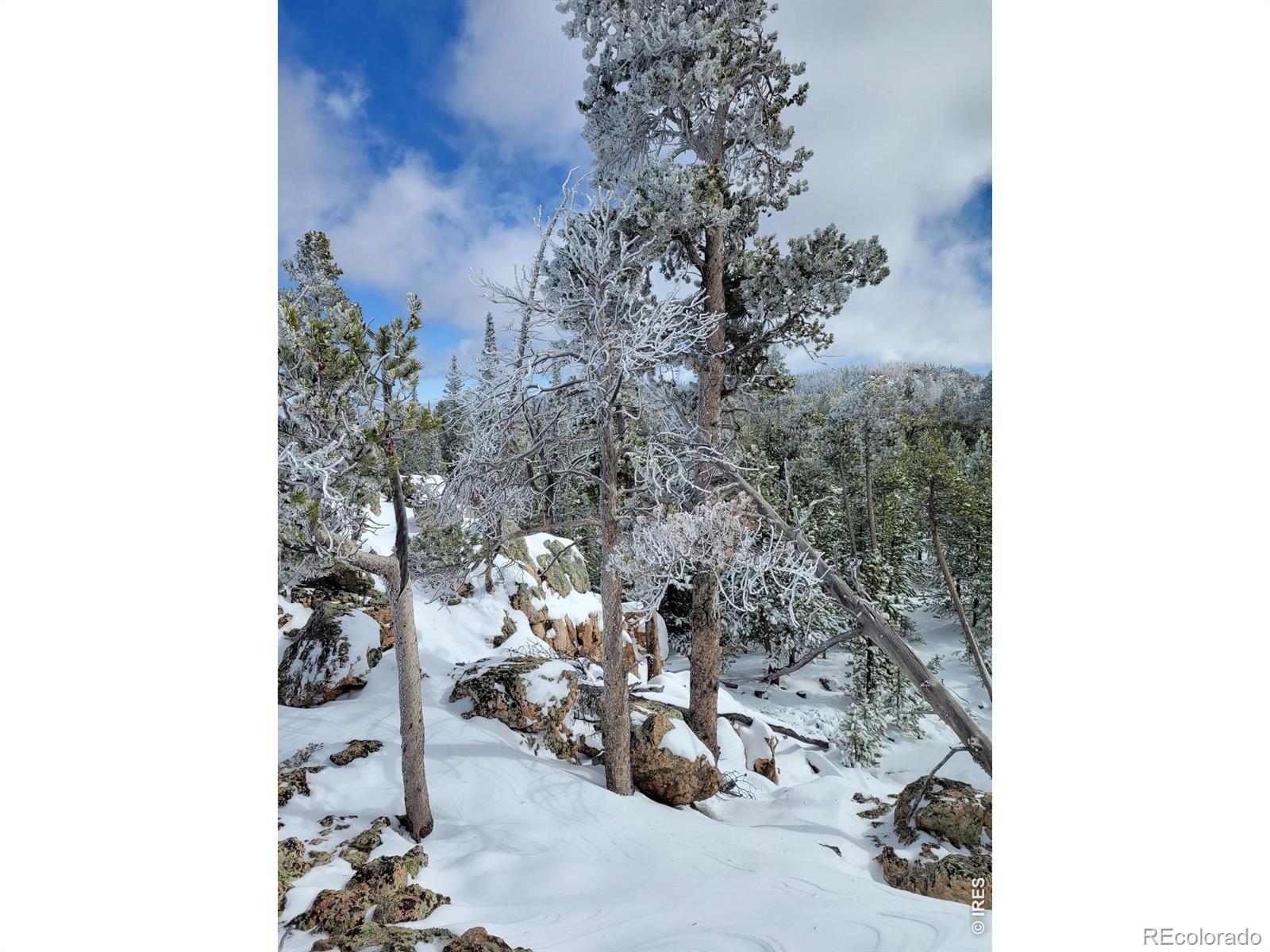 3765 Forest Road 195 Red Feather Lakes CO 80545