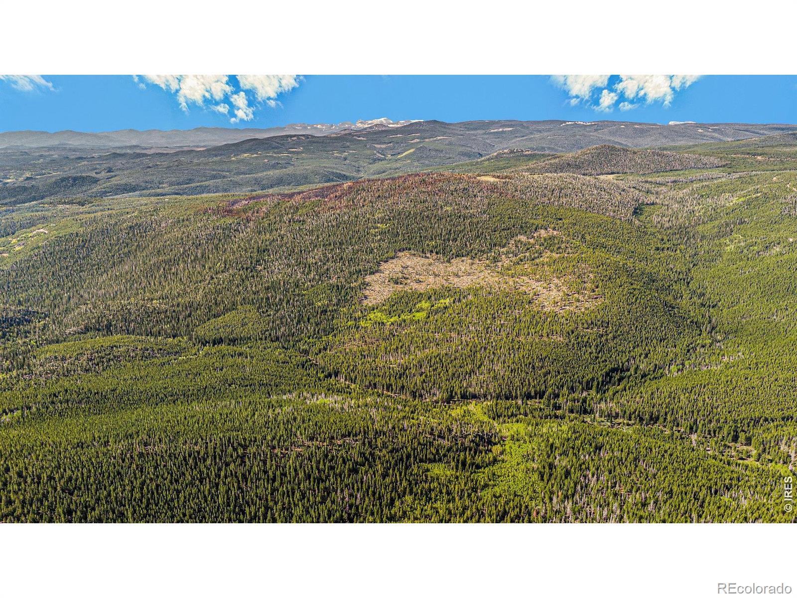 3765 Forest Road 195 Red Feather Lakes CO 80545