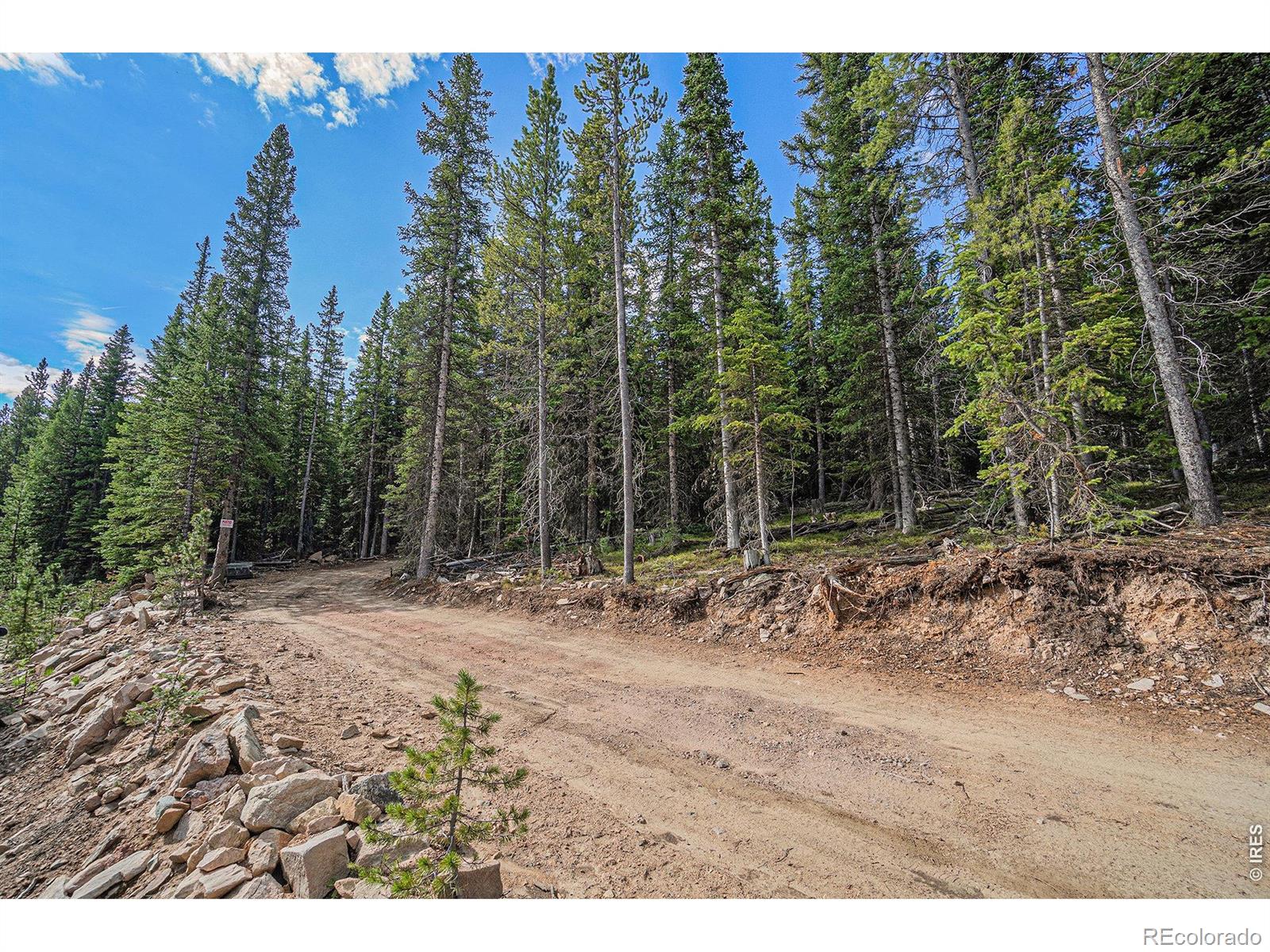3765 Forest Road 195 Red Feather Lakes CO 80545