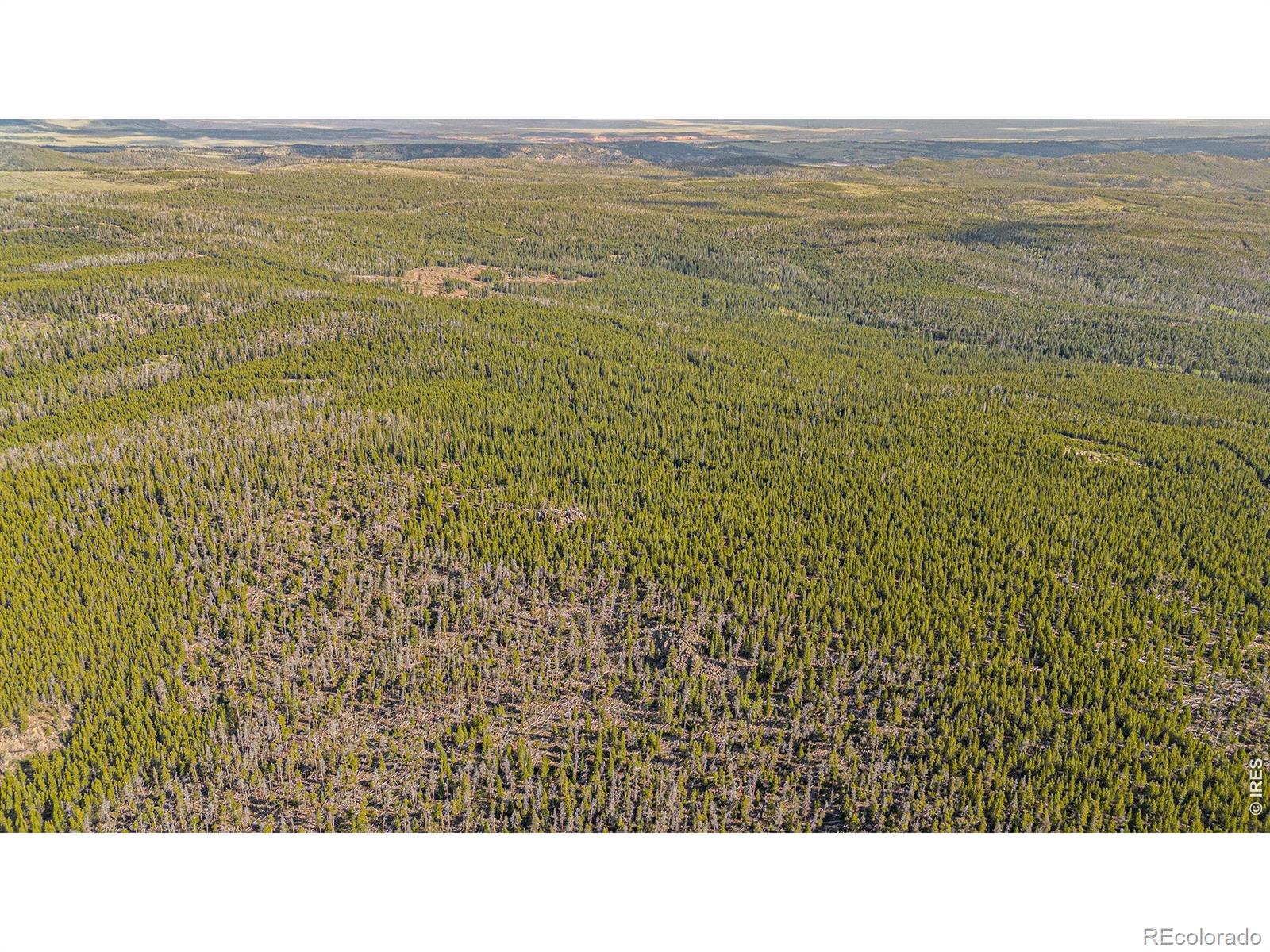 3765 Forest Road 195 Red Feather Lakes CO 80545