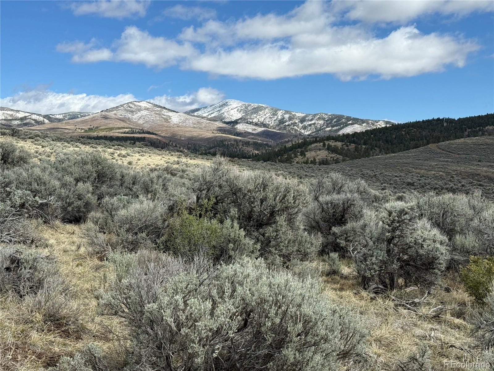 Lot 117 Lautenburg Drive Fort Garland CO 81133