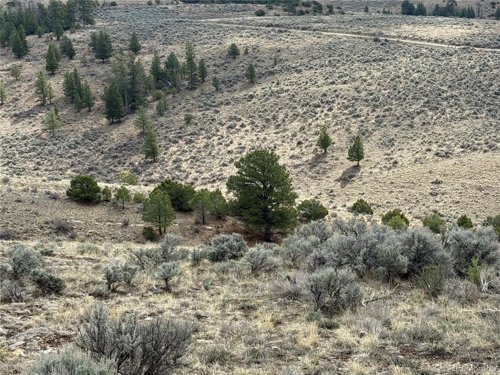 Lot 117 Lautenburg Drive Fort Garland CO 81133