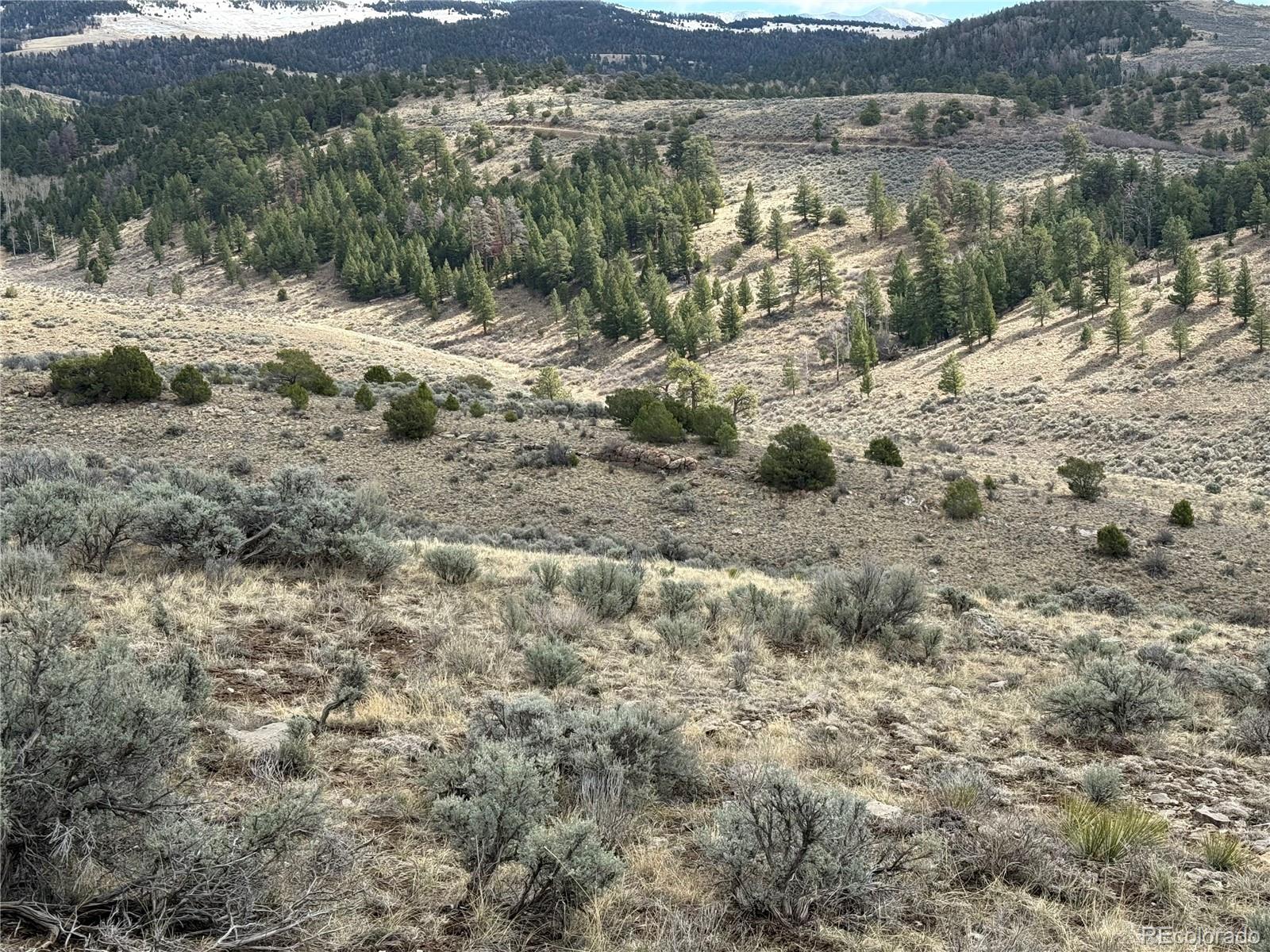 Lot 117 Lautenburg Drive Fort Garland CO 81133