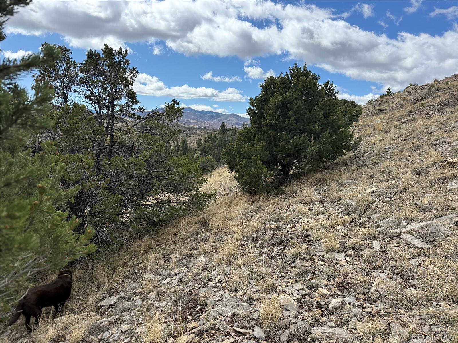 Lot 117 Lautenburg Drive Fort Garland CO 81133