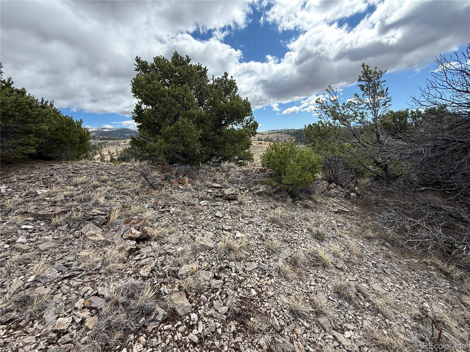 Lot 117 Lautenburg Drive Fort Garland CO 81133