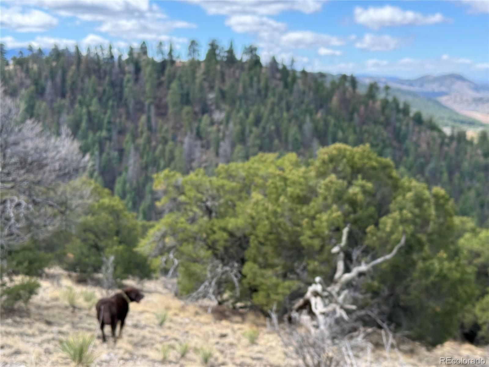 Lot 117 Lautenburg Drive Fort Garland CO 81133
