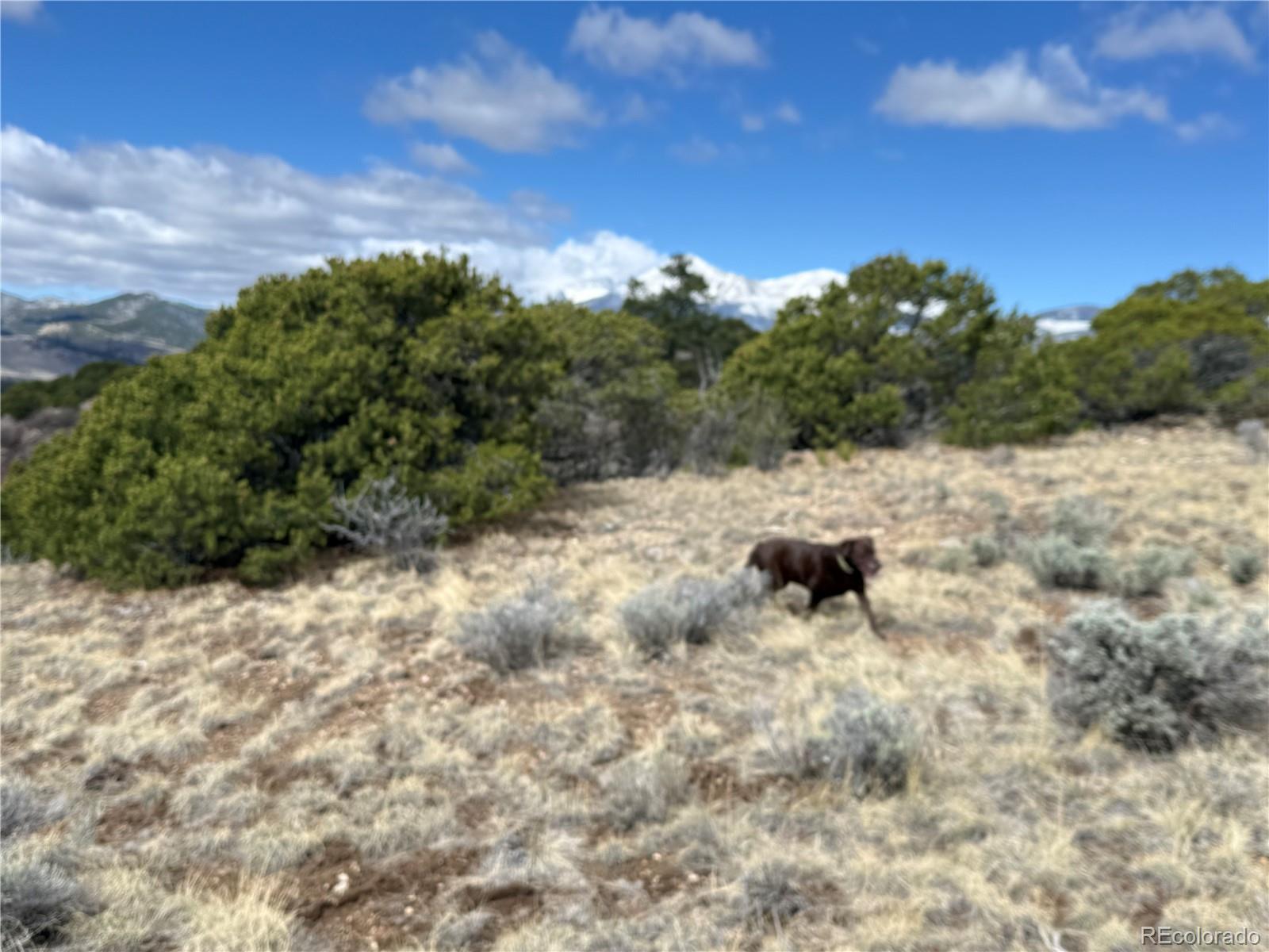 Lot 117 Lautenburg Drive Fort Garland CO 81133