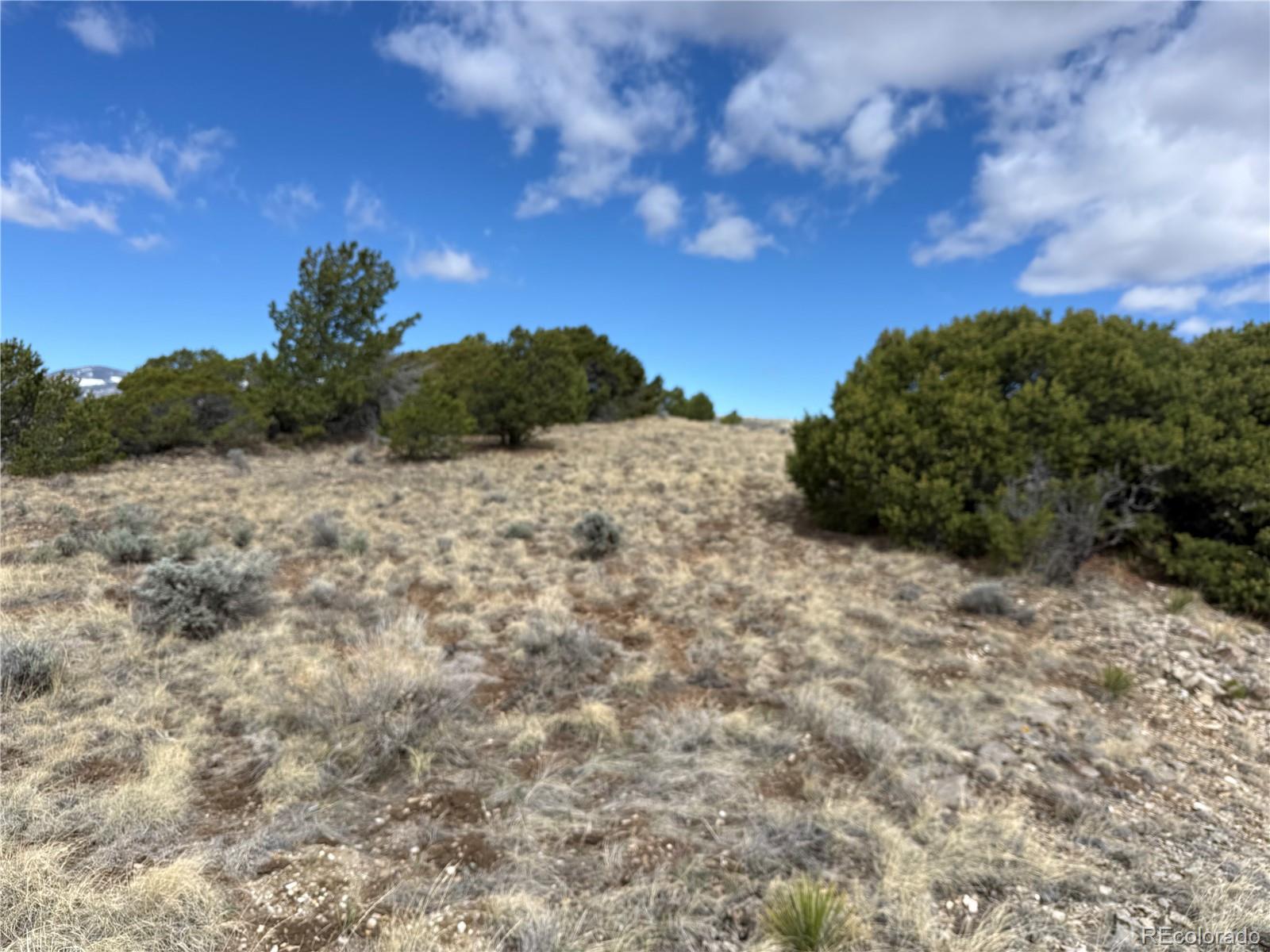 Lot 117 Lautenburg Drive Fort Garland CO 81133