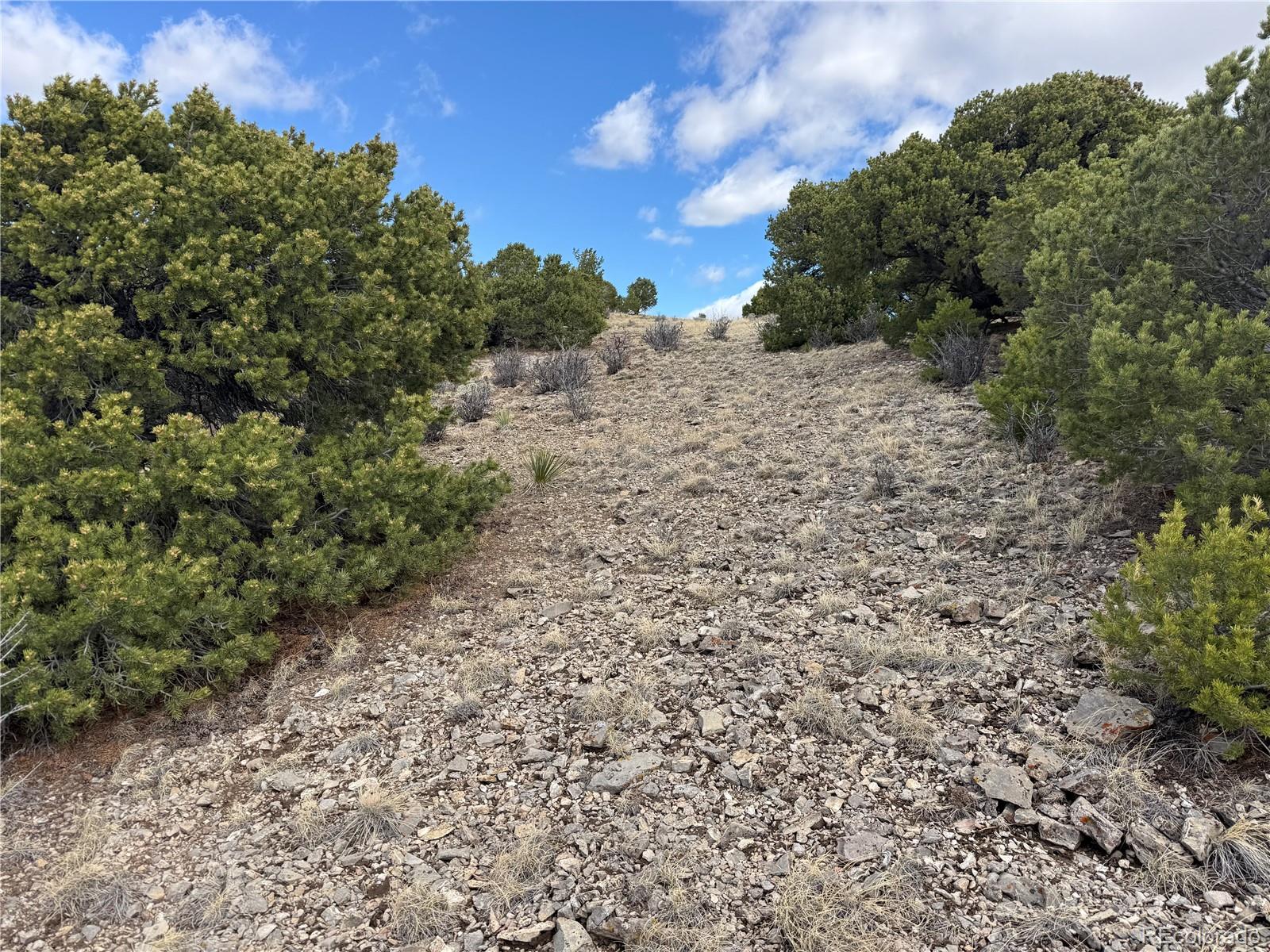 Lot 117 Lautenburg Drive Fort Garland CO 81133