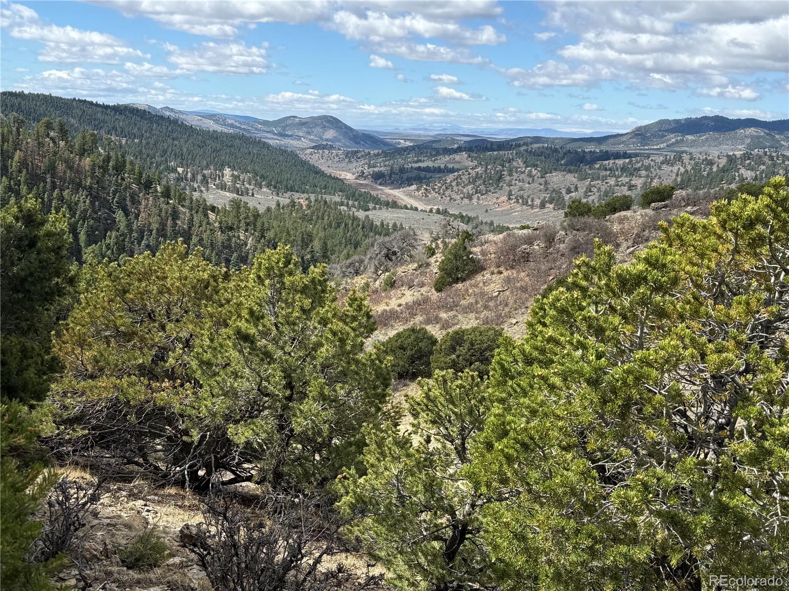 Lot 117 Lautenburg Drive Fort Garland CO 81133