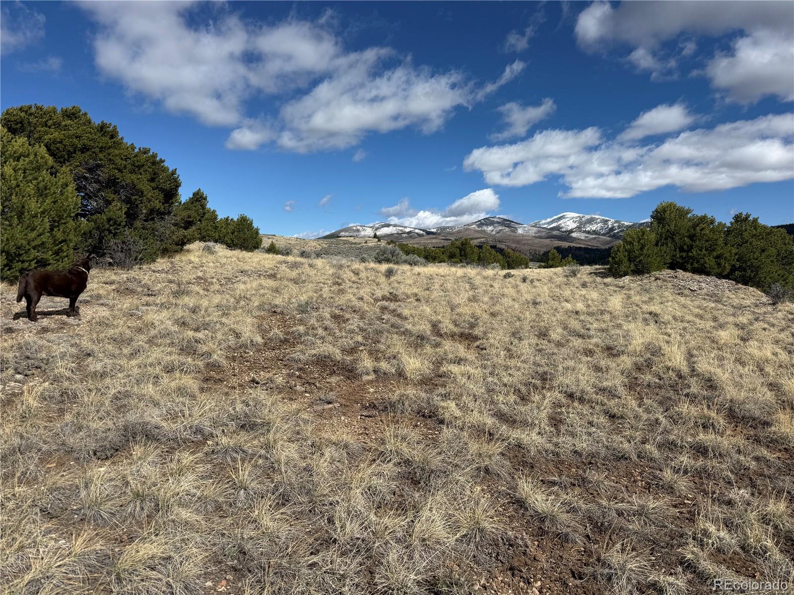 Lot 117 Lautenburg Drive Fort Garland CO 81133