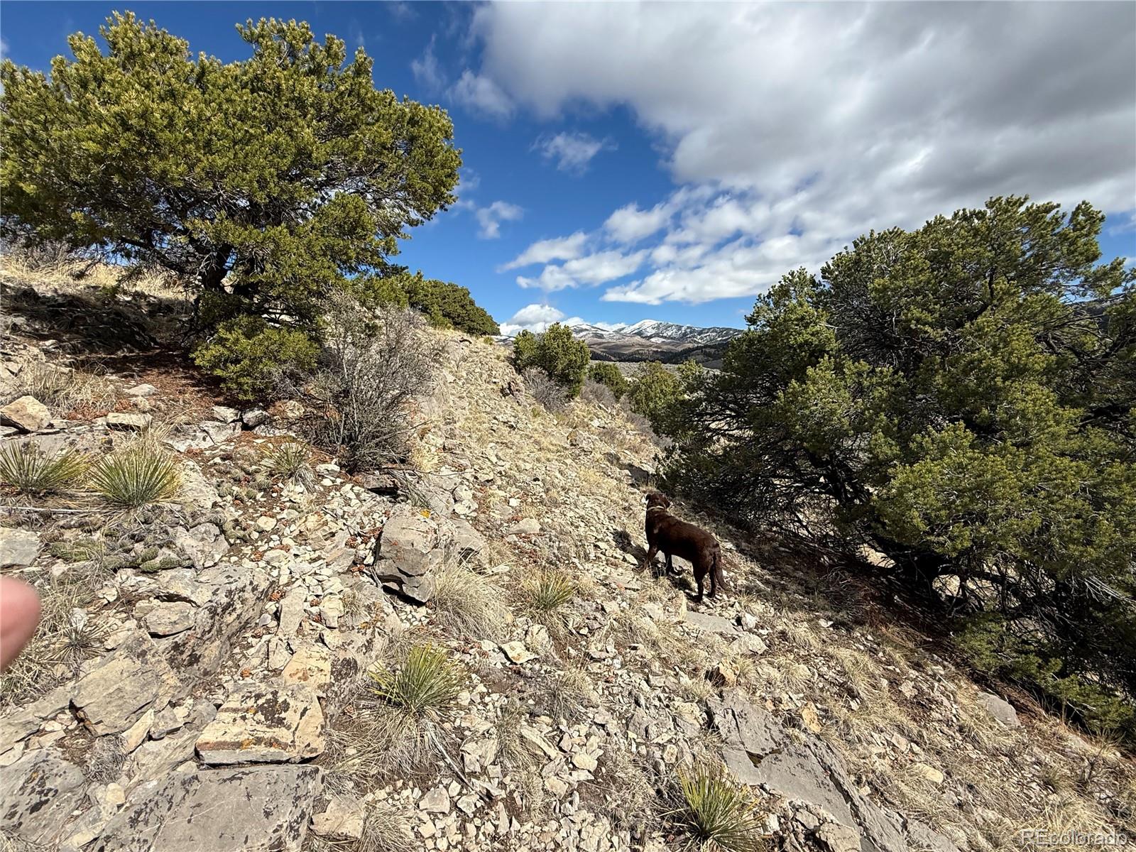 Lot 117 Lautenburg Drive Fort Garland CO 81133