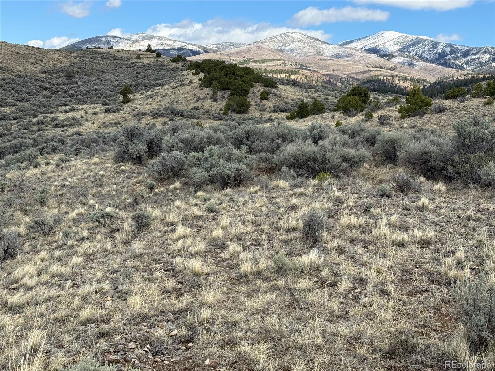 Lot 117 Lautenburg Drive Fort Garland CO 81133