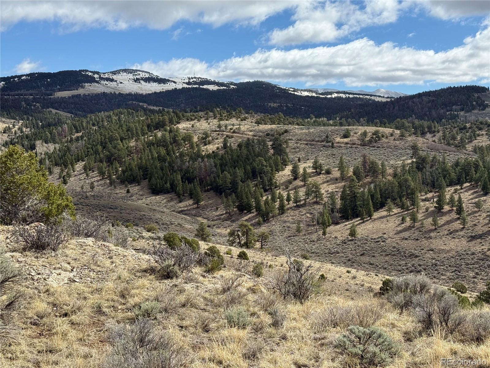 Lot 117 Lautenburg Drive Fort Garland CO 81133