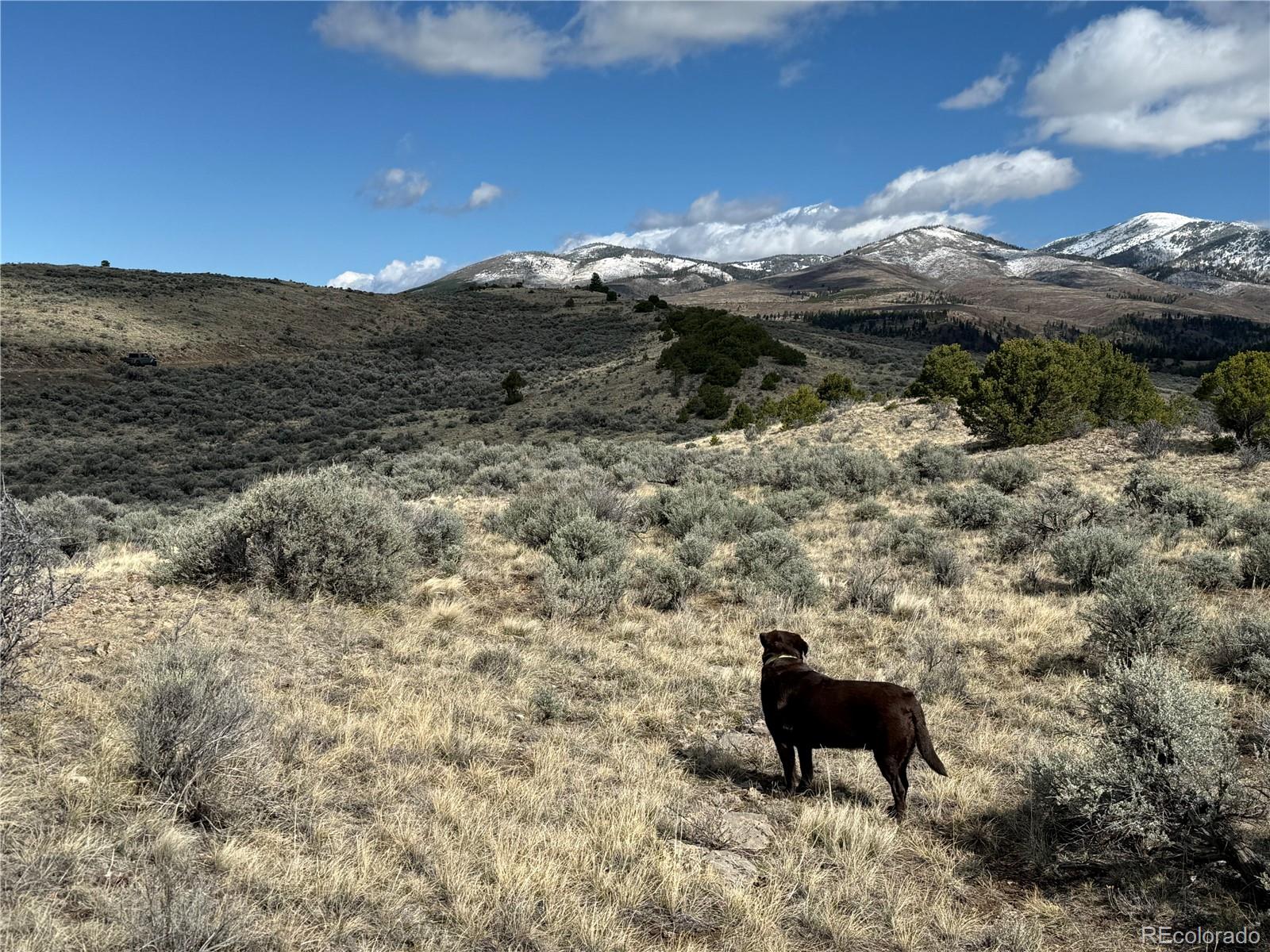 Lot 117 Lautenburg Drive Fort Garland CO 81133