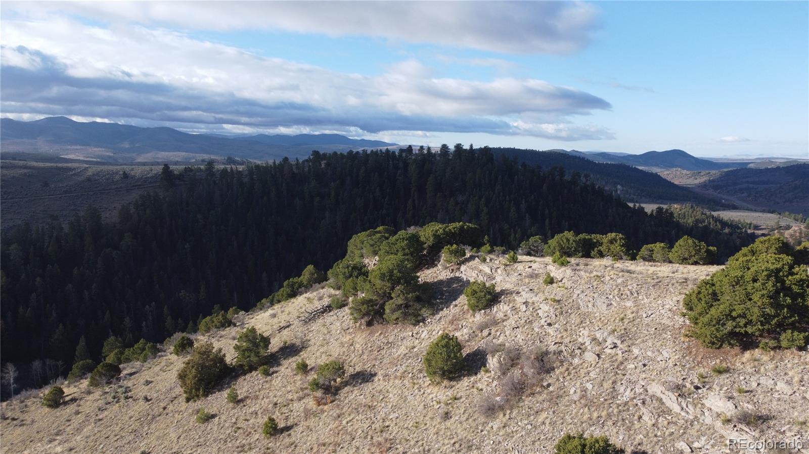 Lot 117 Lautenburg Drive Fort Garland CO 81133