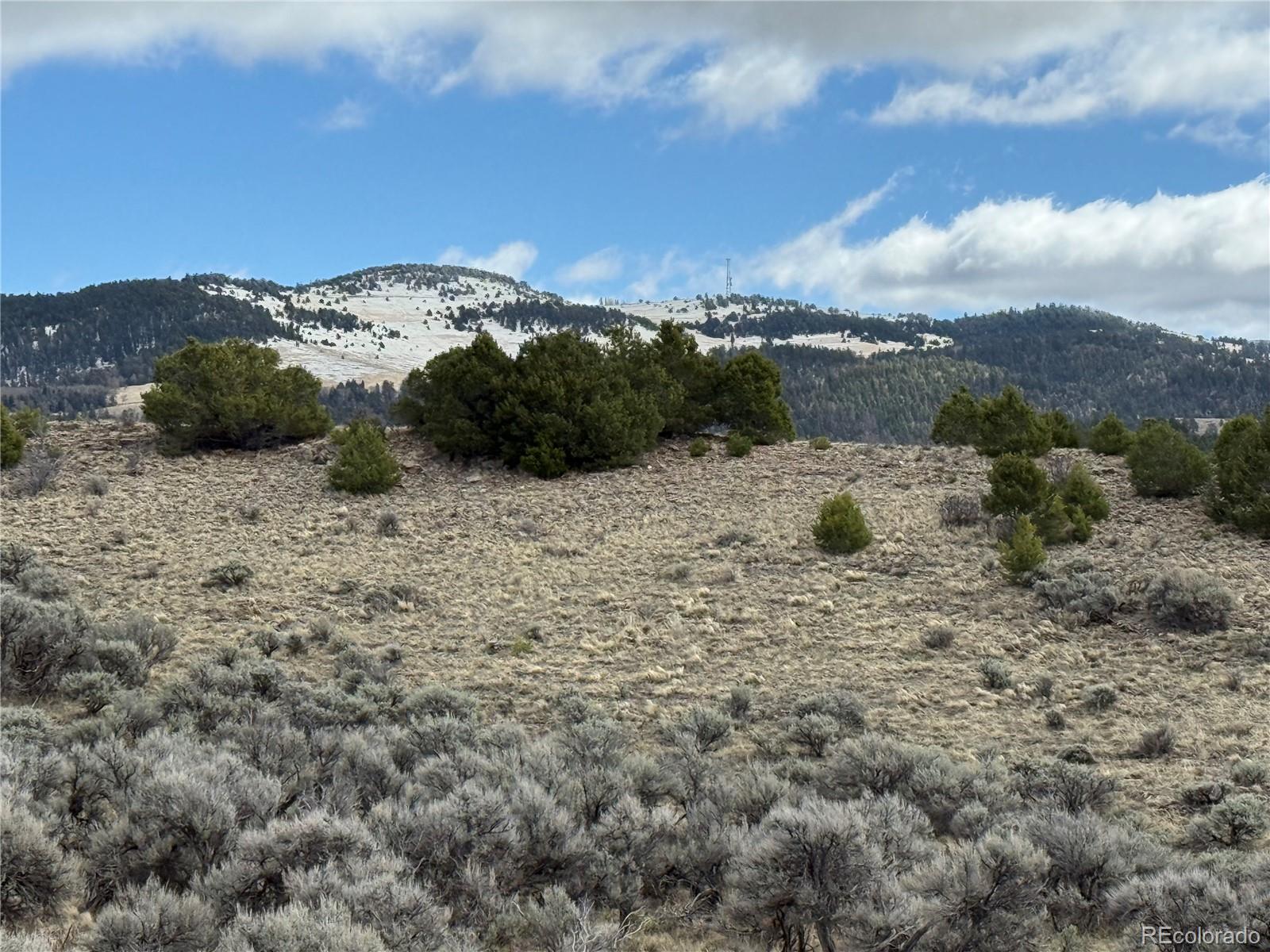 Lot 117 Lautenburg Drive Fort Garland CO 81133