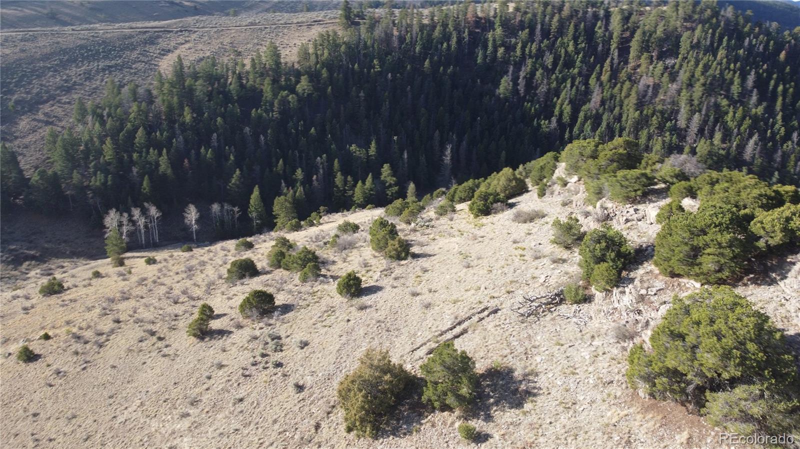 Lot 117 Lautenburg Drive Fort Garland CO 81133