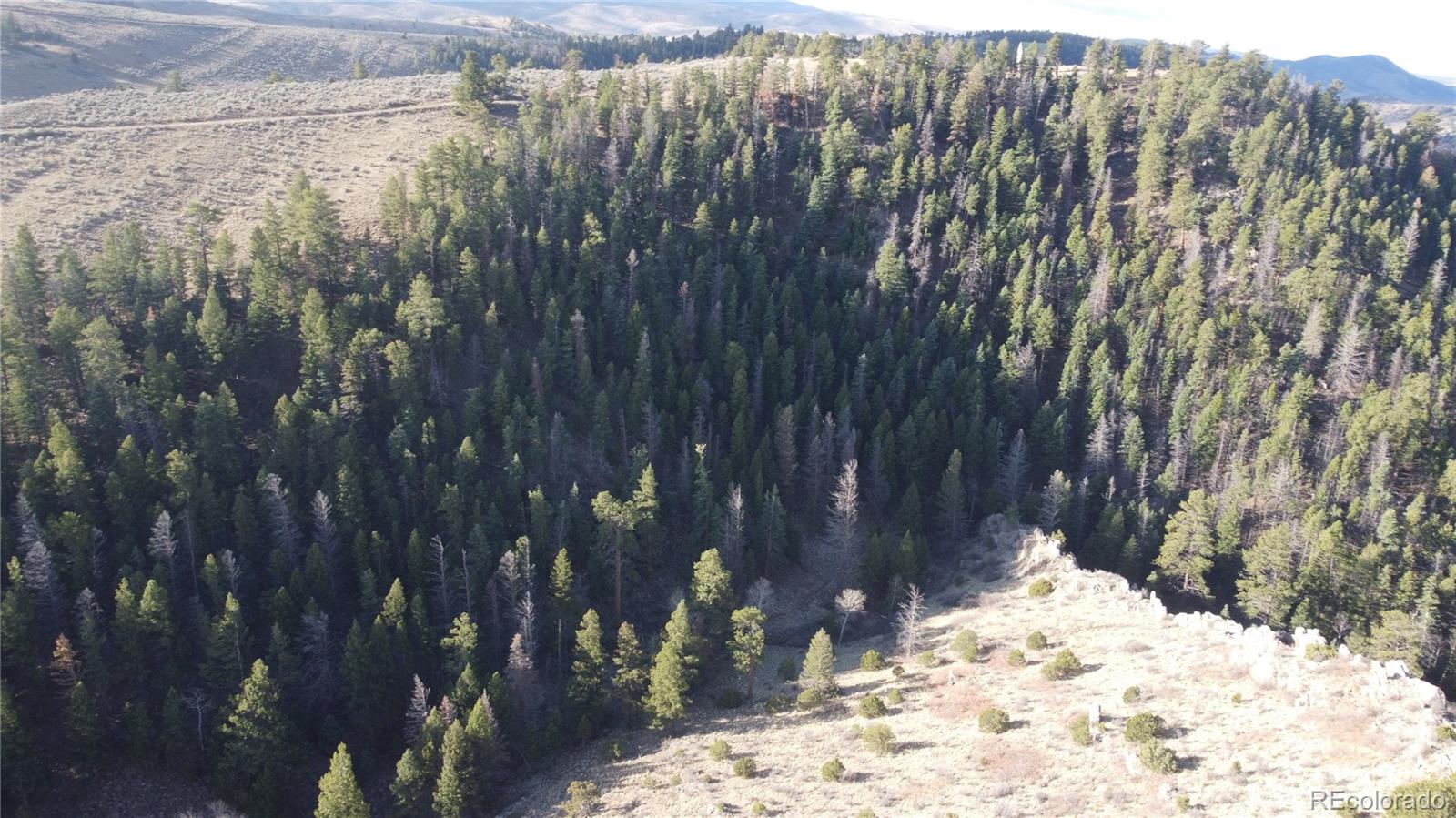 Lot 117 Lautenburg Drive Fort Garland CO 81133