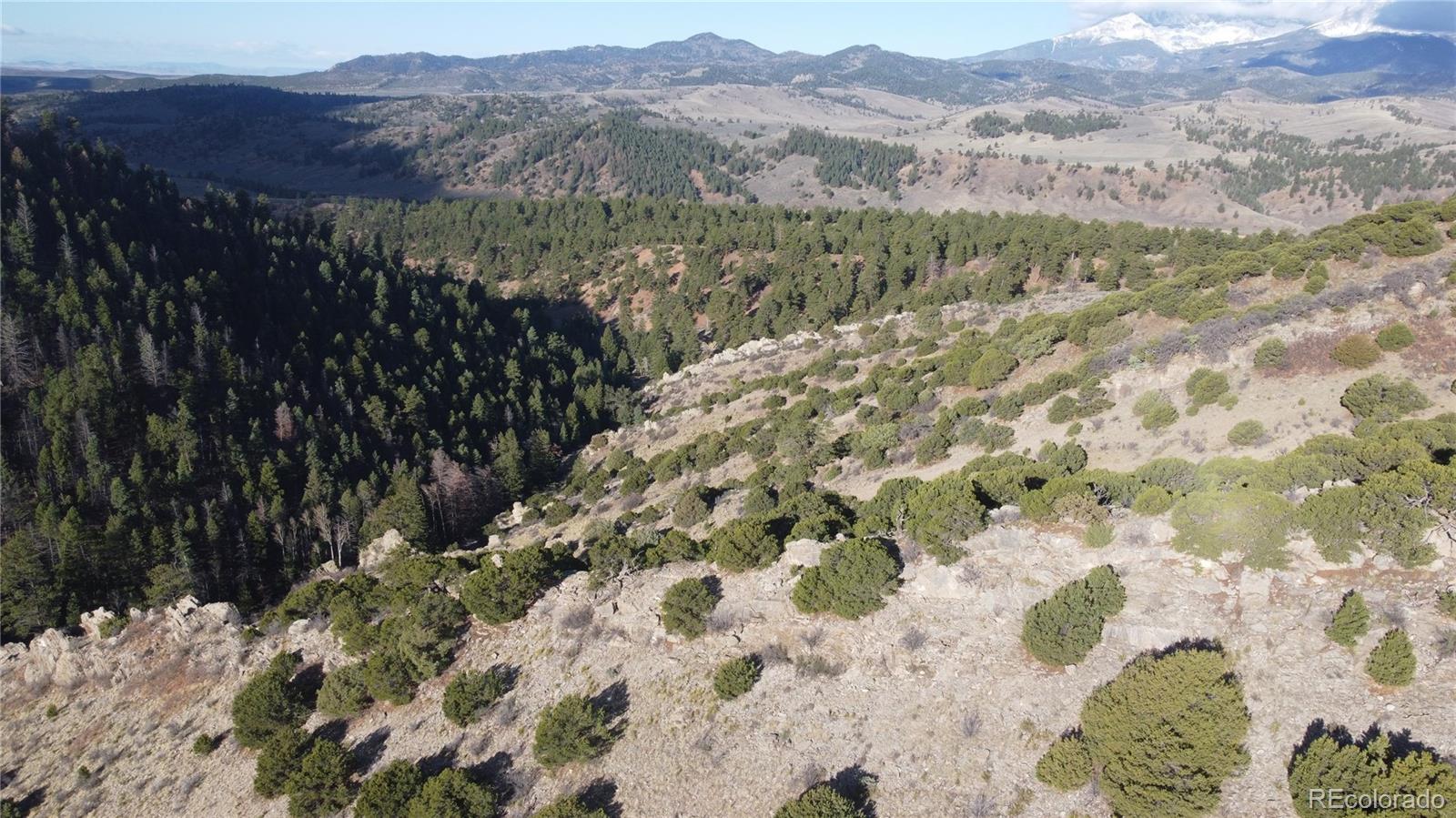 Lot 117 Lautenburg Drive Fort Garland CO 81133
