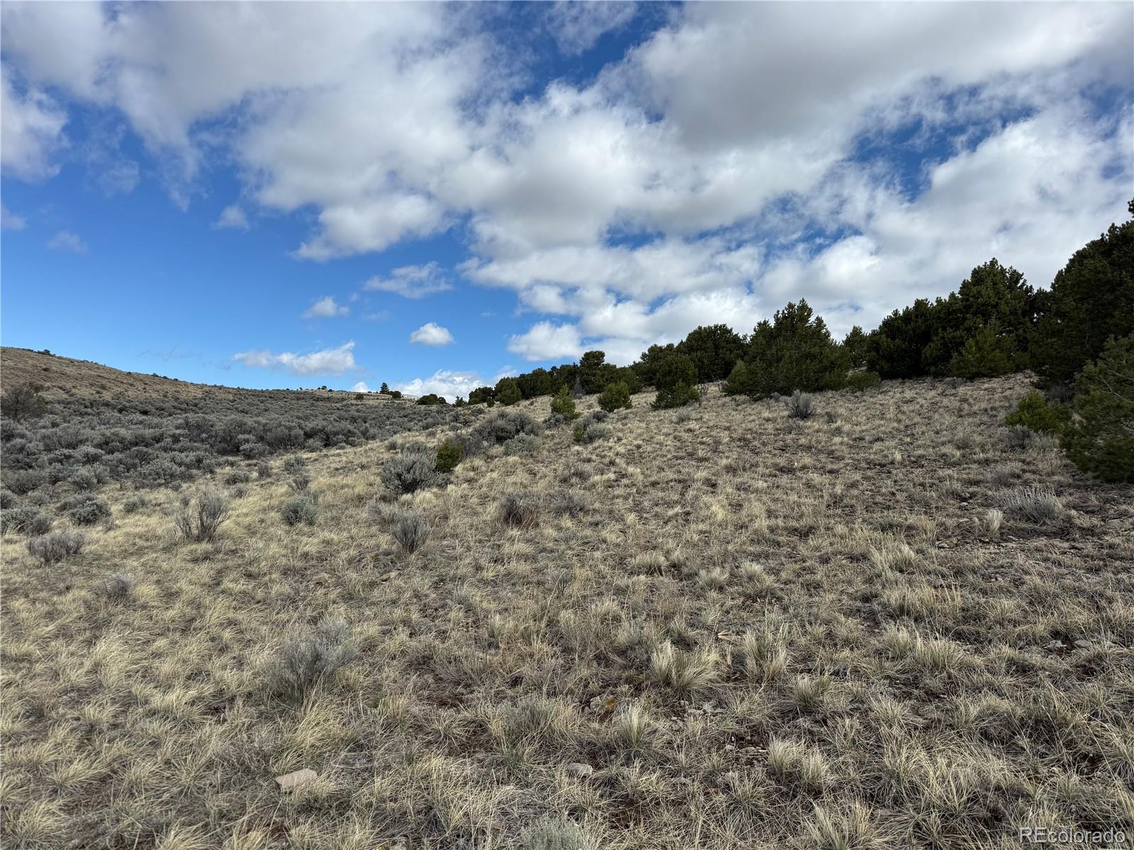 Lot 117 Lautenburg Drive Fort Garland CO 81133